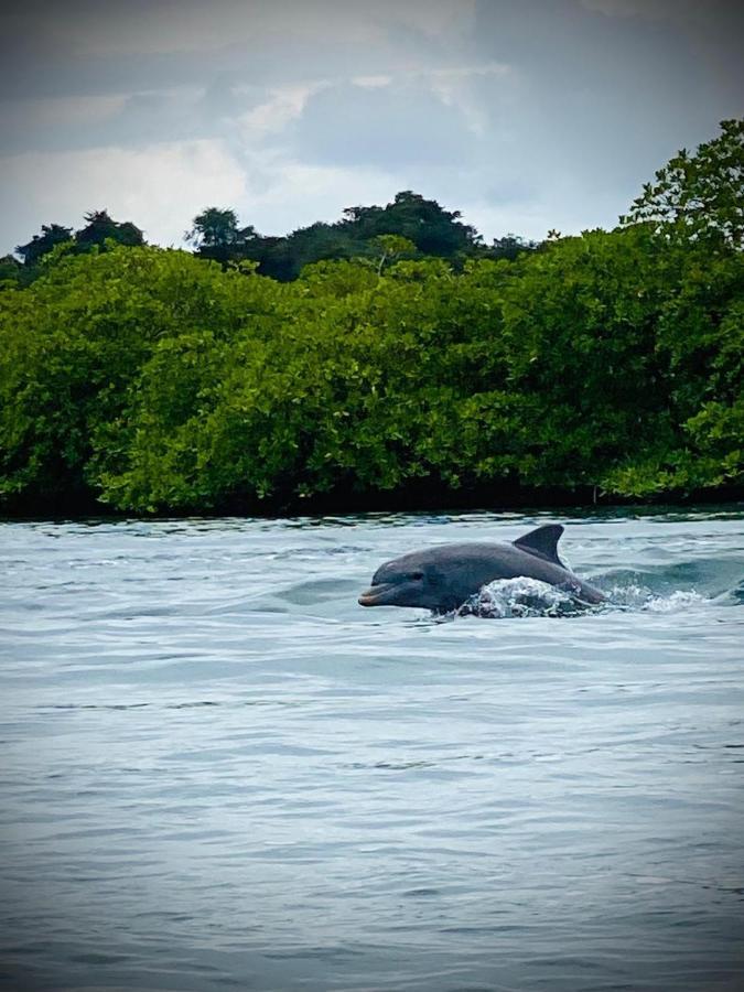 Kevin Kondos Bocas del Toro Exterior photo